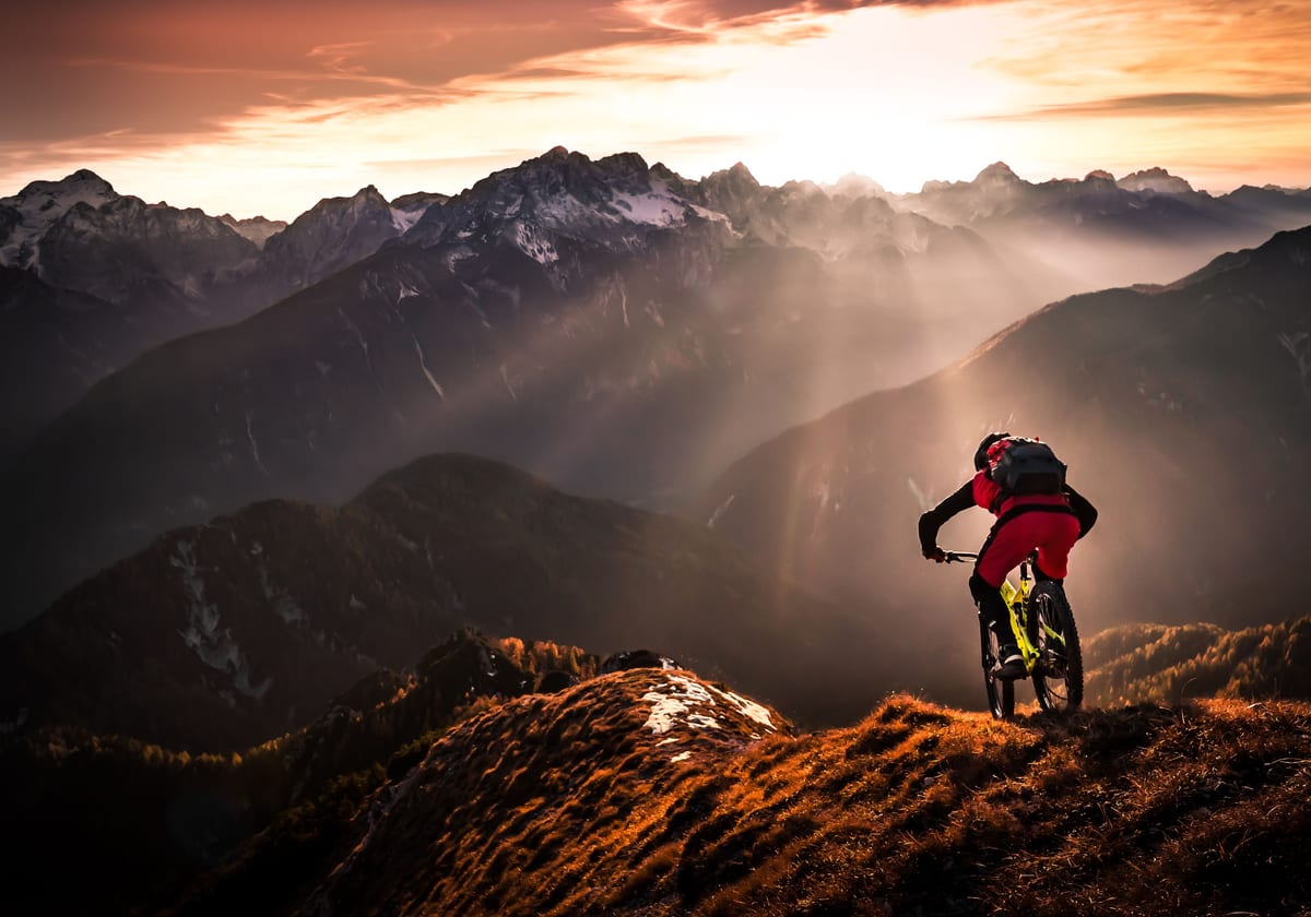 variant-70x100_no-margin