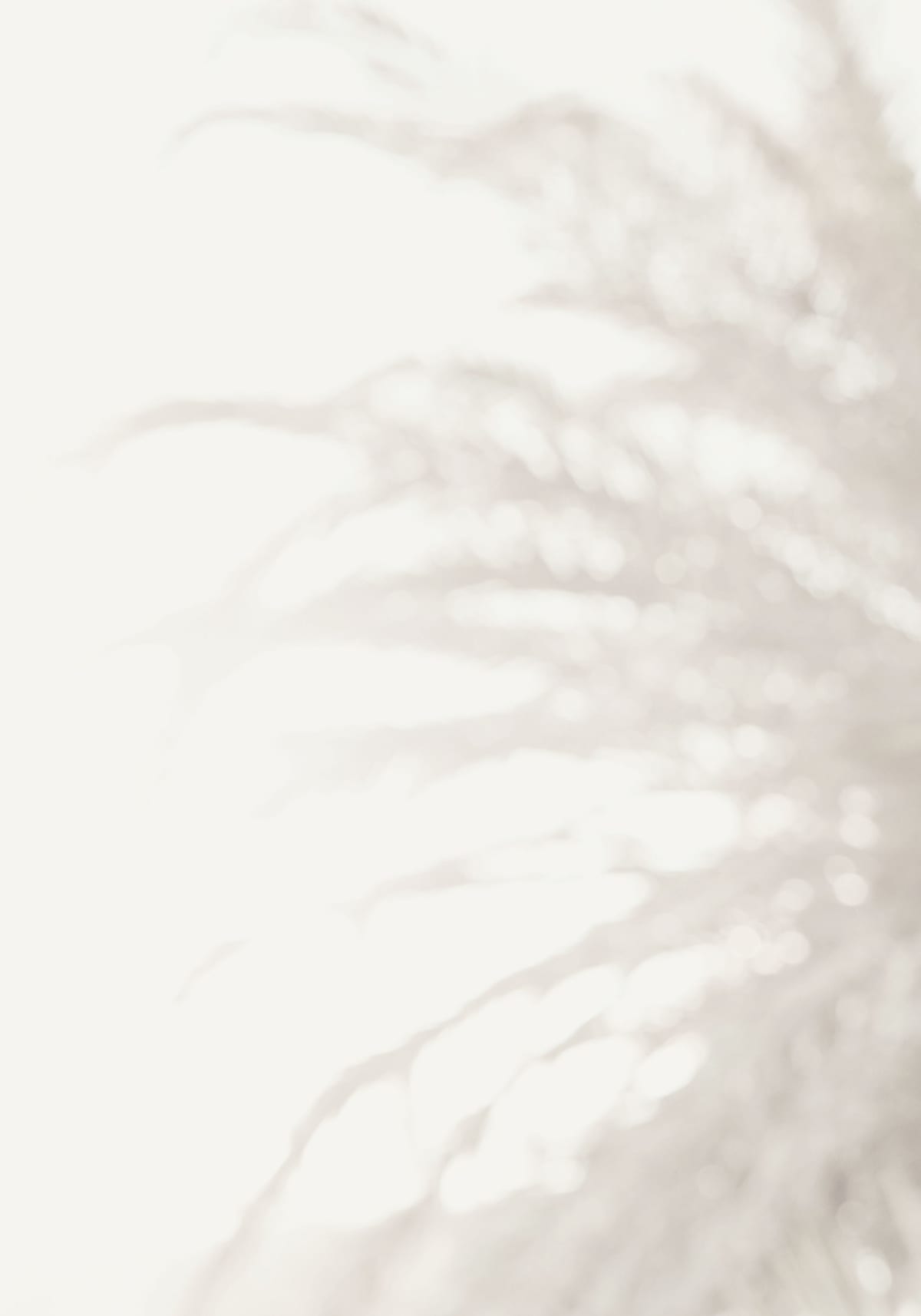 variant-70x100_no-margin