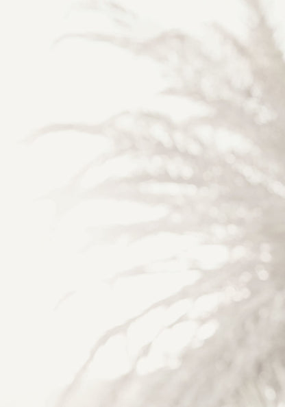 variant-70x100_no-margin