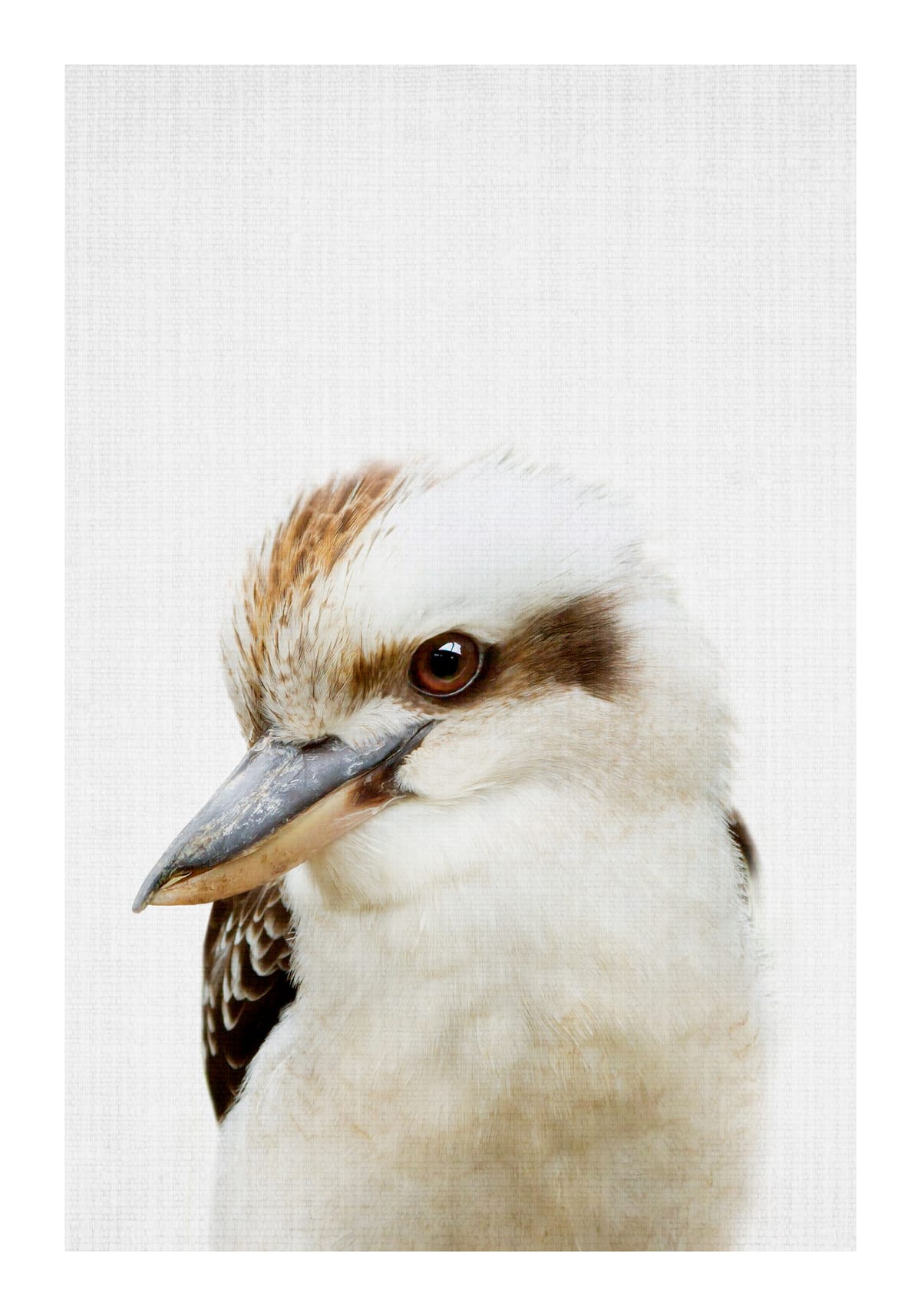 variant-70x100_with-margin