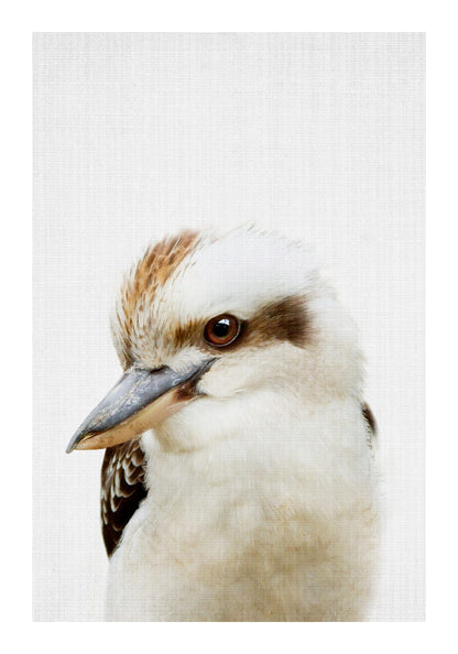 variant-70x100_with-margin