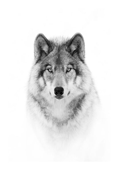 variant-70x100_with-margin