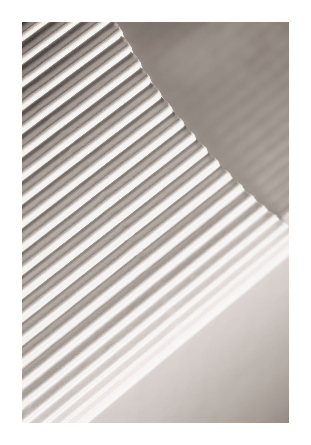 variant-70x100_with-margin