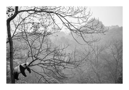 variant-70x100_with-margin