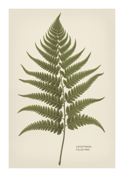 variant-70x100_with-margin