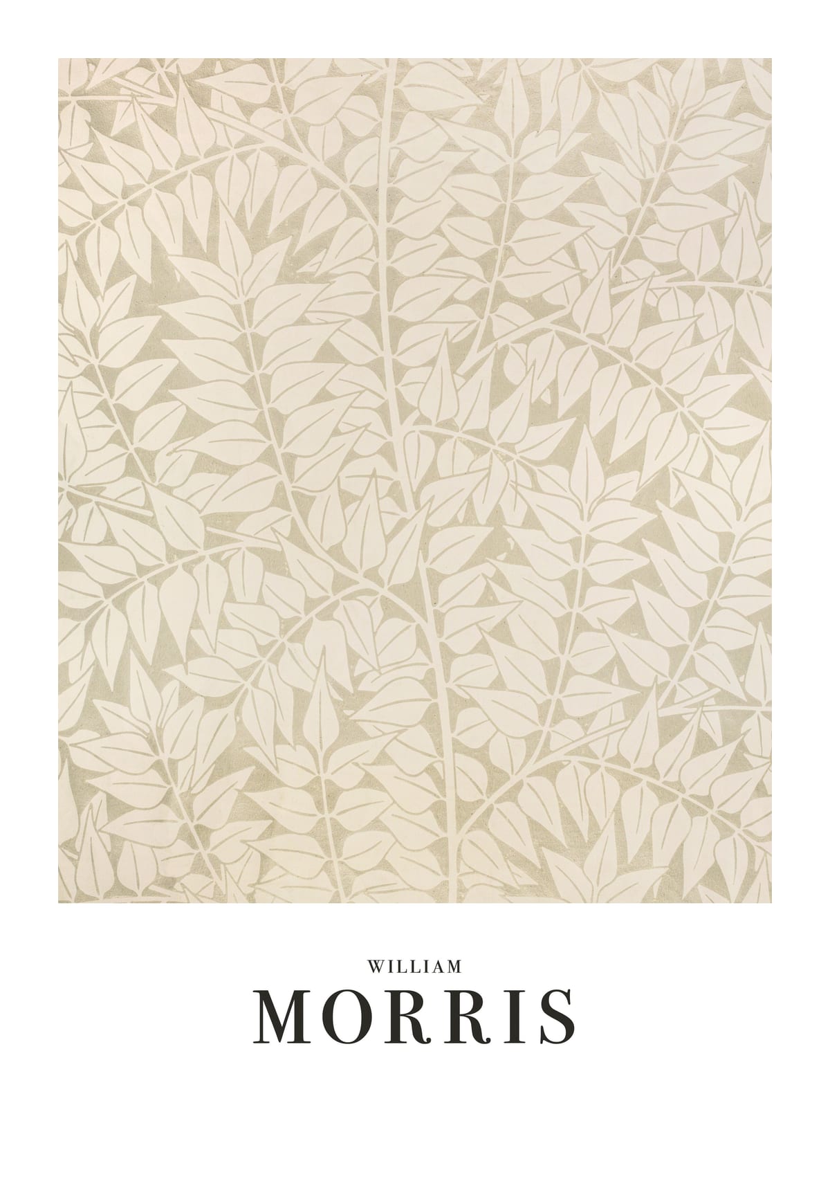 variant-70x100_with-margin