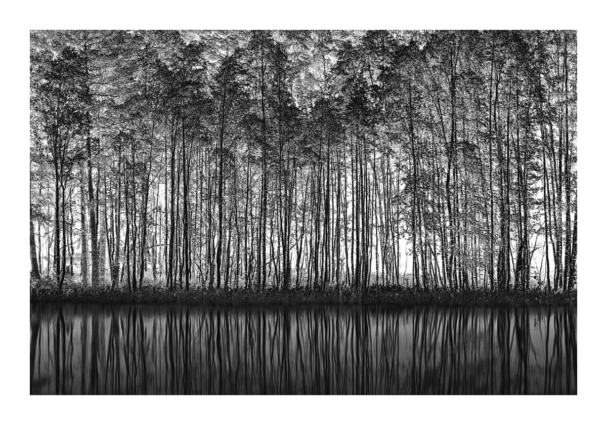variant-70x100_with-margin