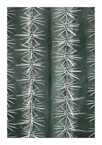 variant-70x100_with-margin
