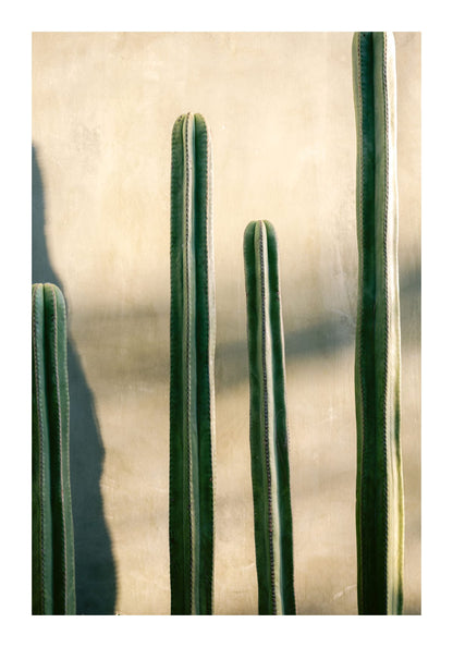 variant-70x100_with-margin