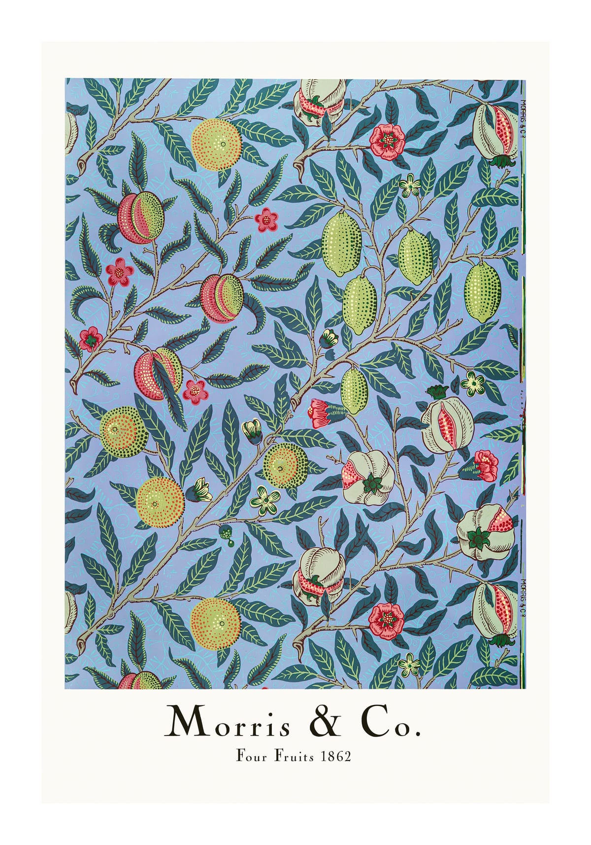 variant-70x100_with-margin