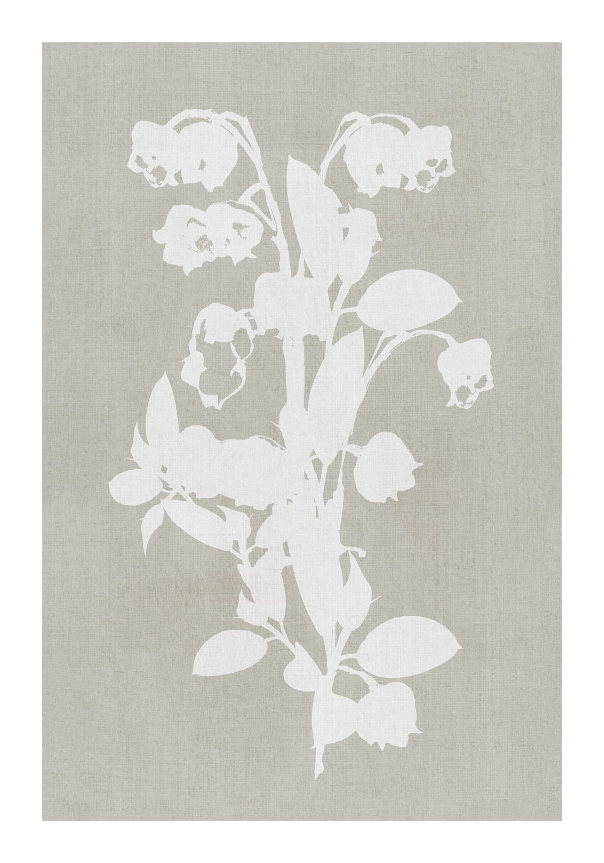 variant-70x100_with-margin