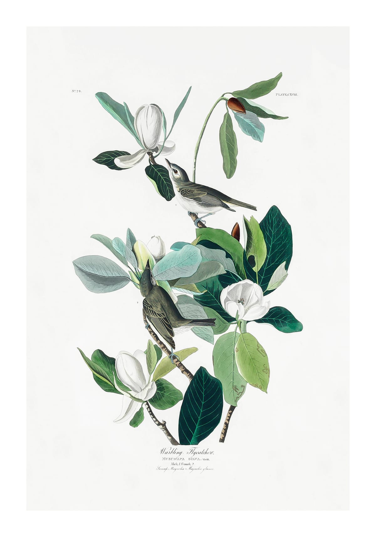 variant-70x100_with-margin