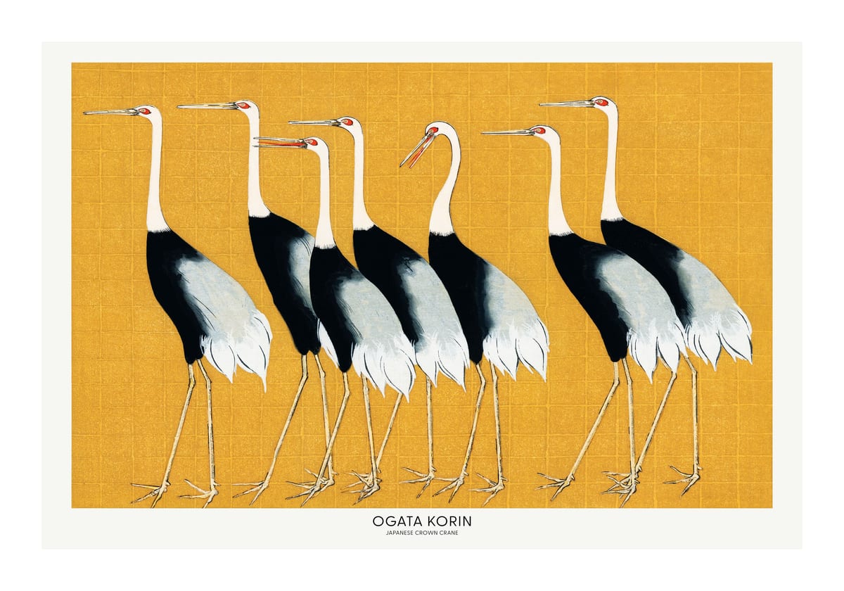 variant-70x100_with-margin