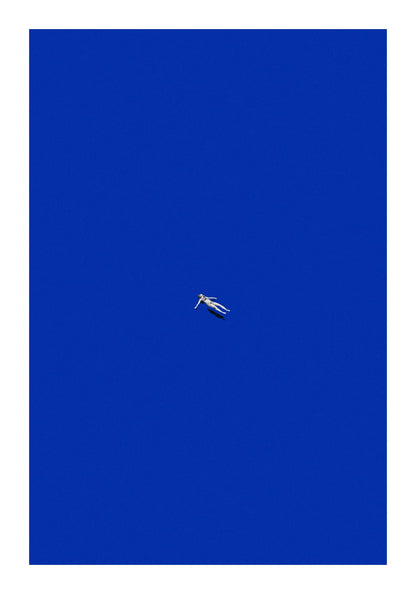 variant-70x100_with-margin
