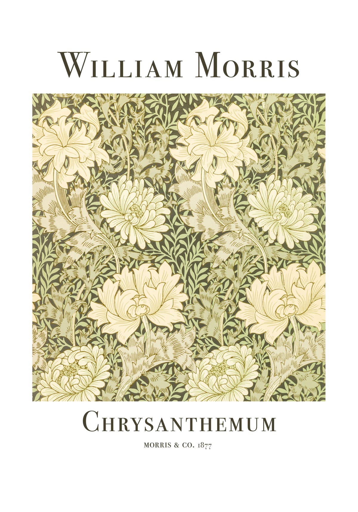 variant-70x100_with-margin