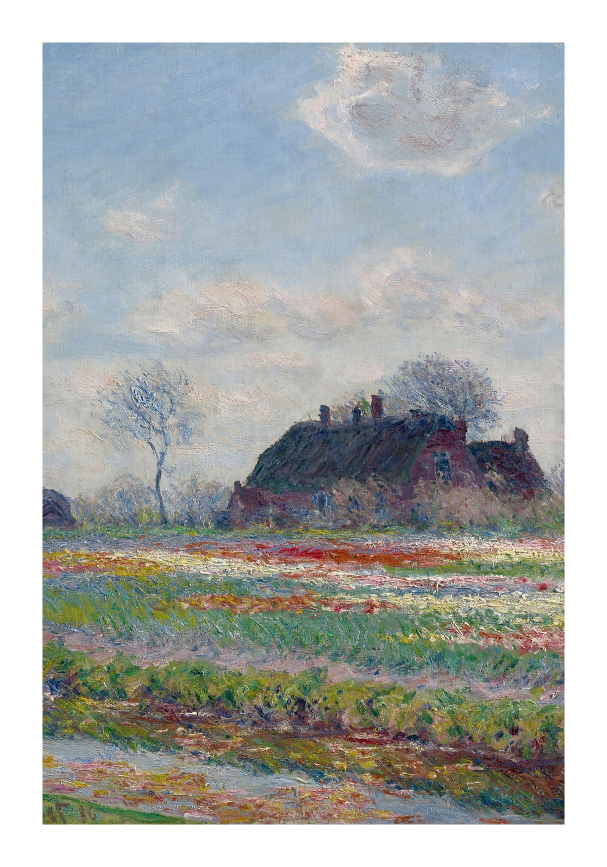 variant-70x100_with-margin