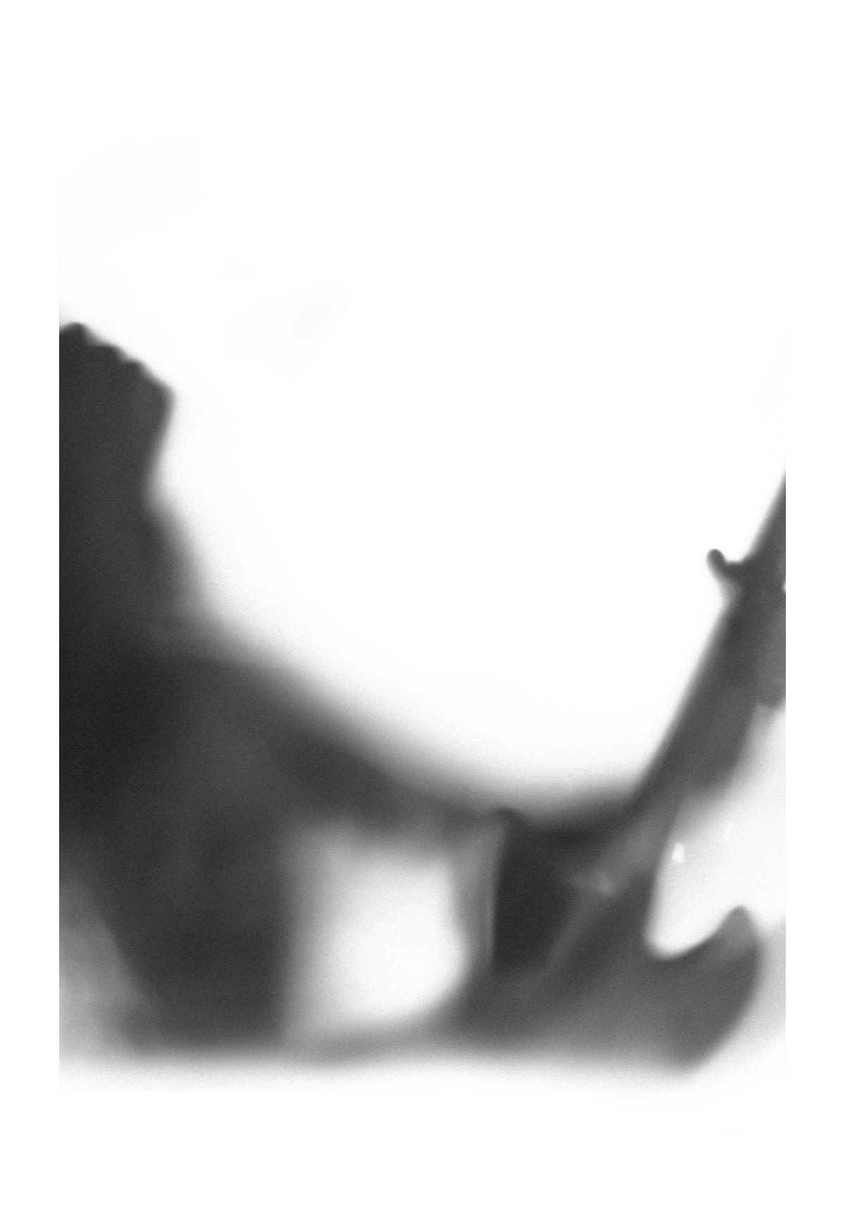 variant-70x100_with-margin