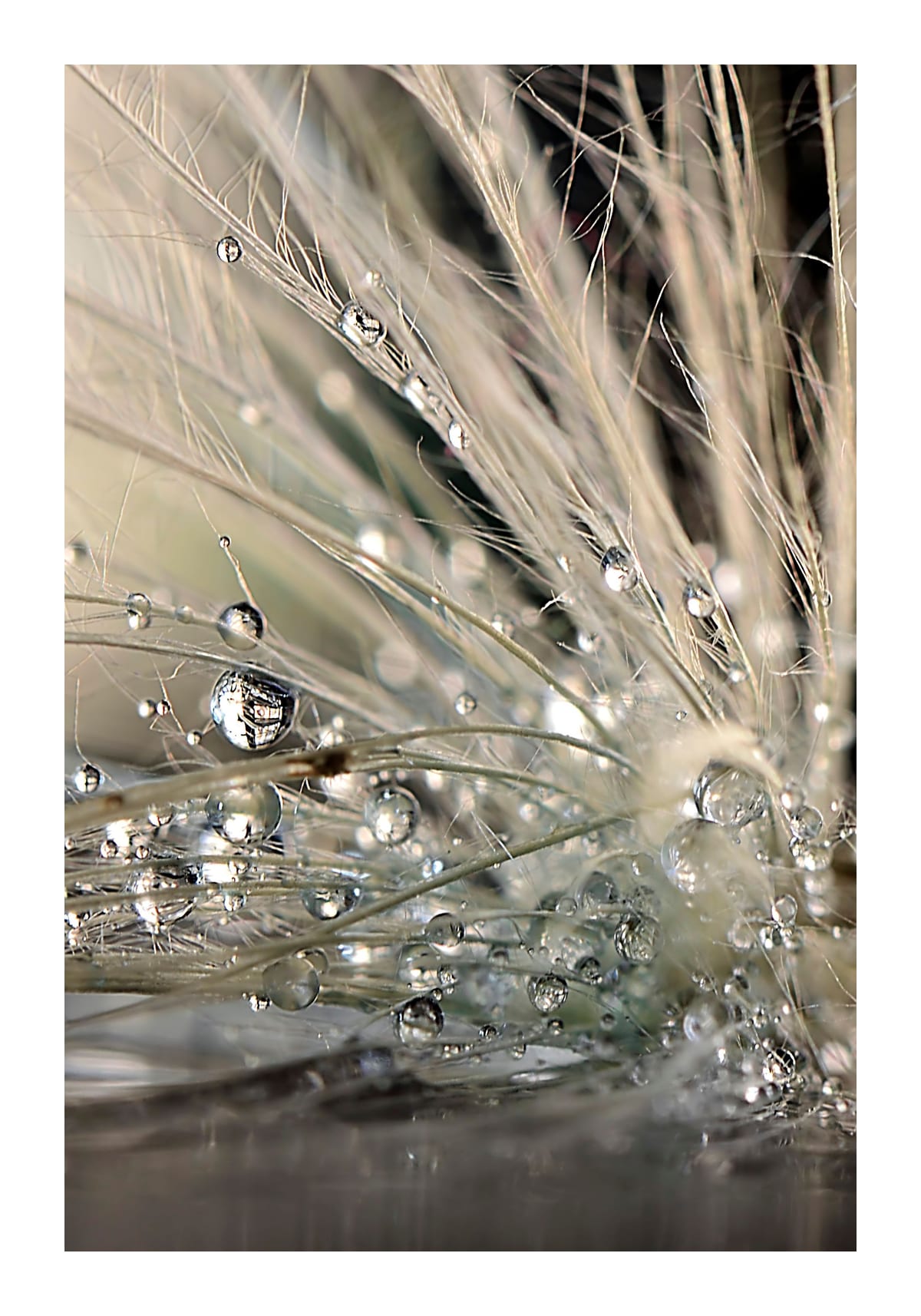variant-70x100_with-margin