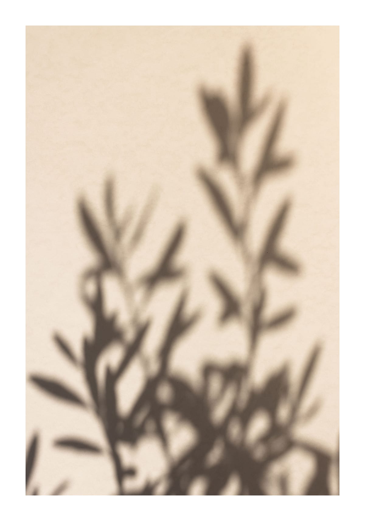 variant-70x100_with-margin