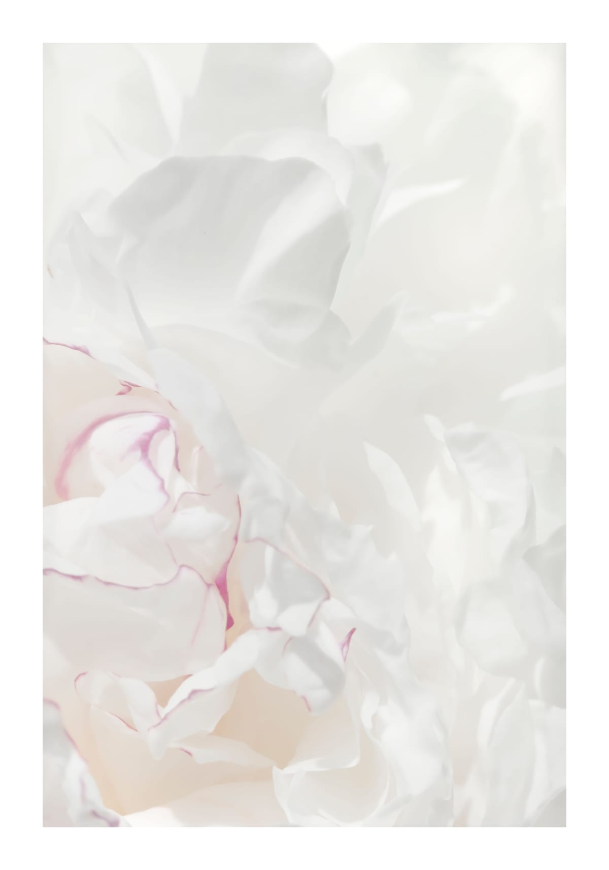 variant-70x100_with-margin