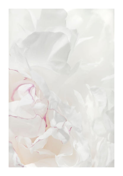 variant-70x100_with-margin