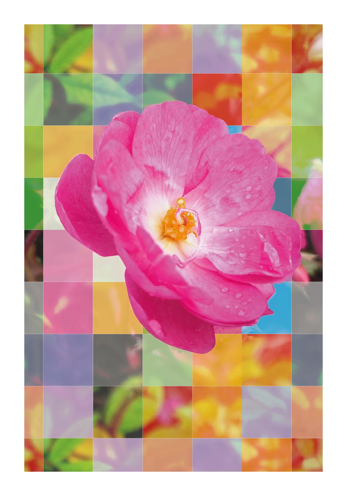 variant-70x100_with-margin