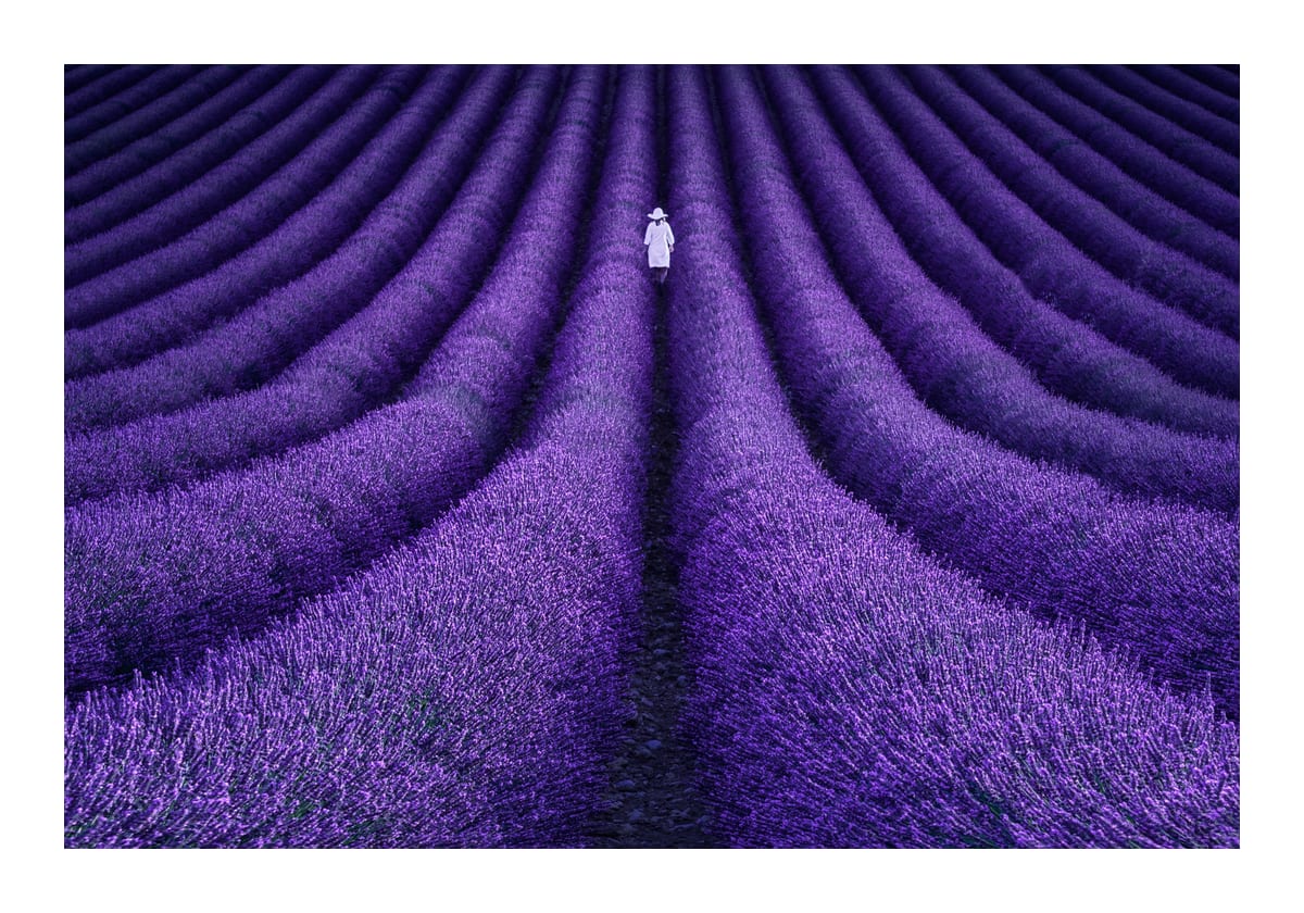 variant-70x100_with-margin
