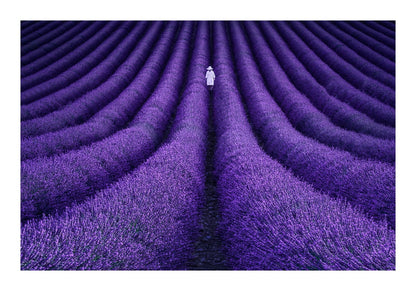 variant-70x100_with-margin
