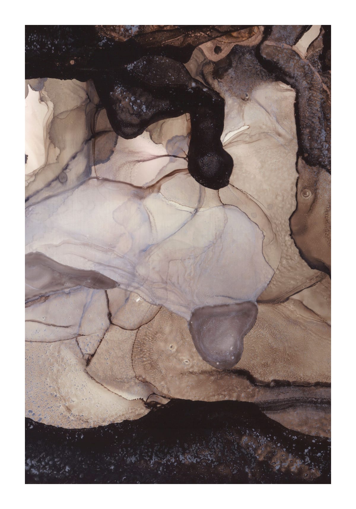 variant-70x100_with-margin
