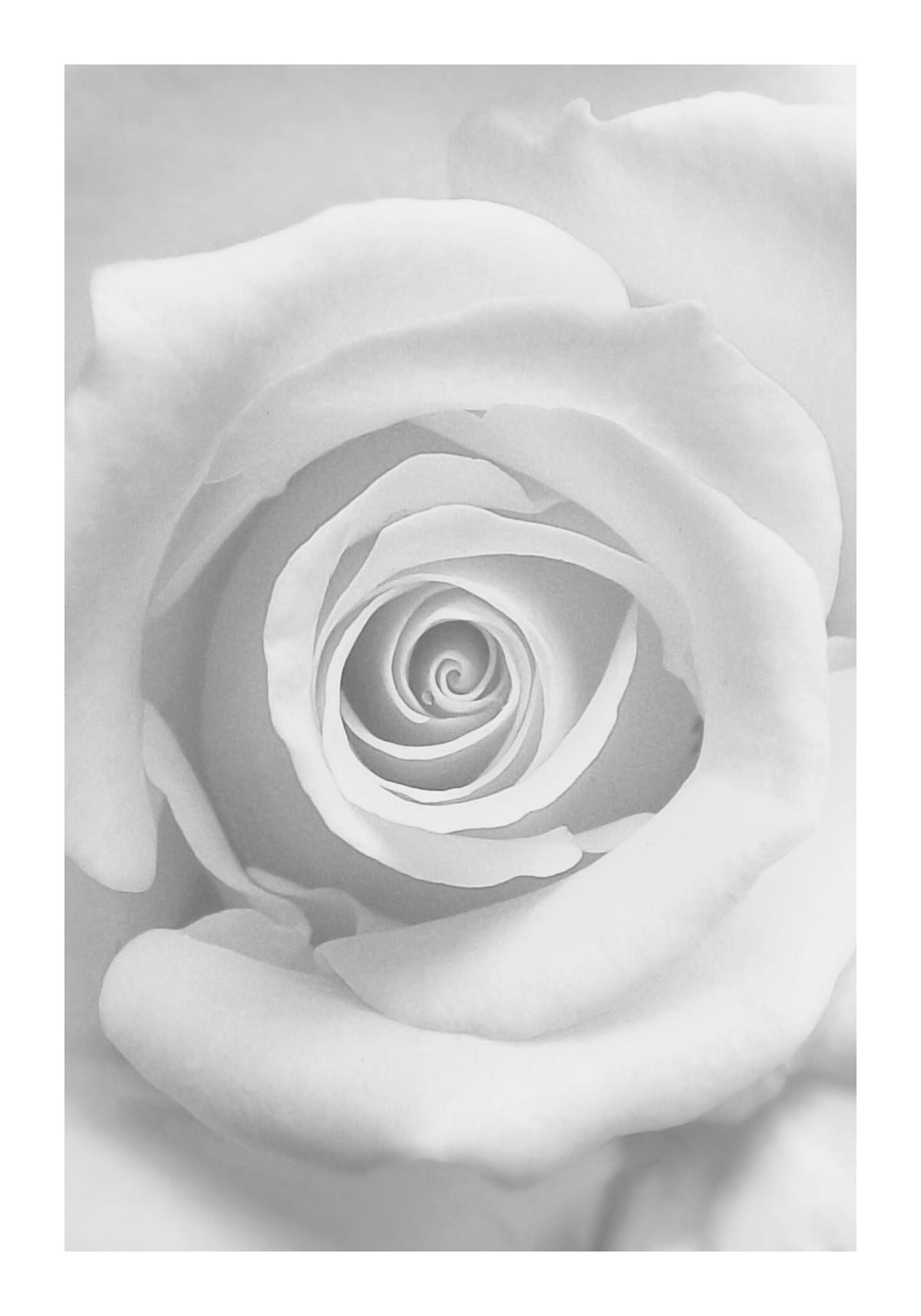 variant-70x100_with-margin