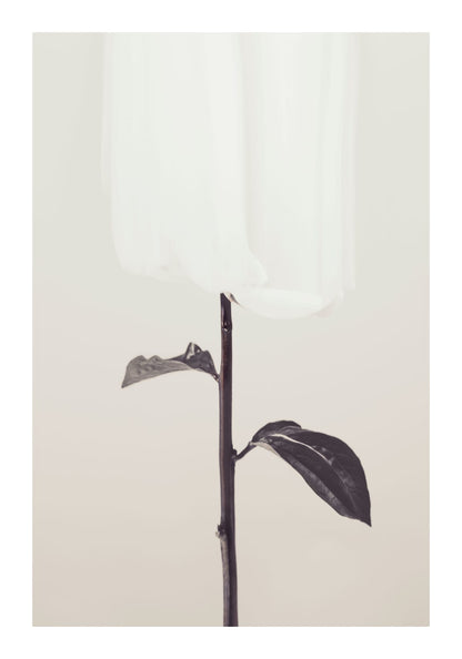 variant-70x100_with-margin