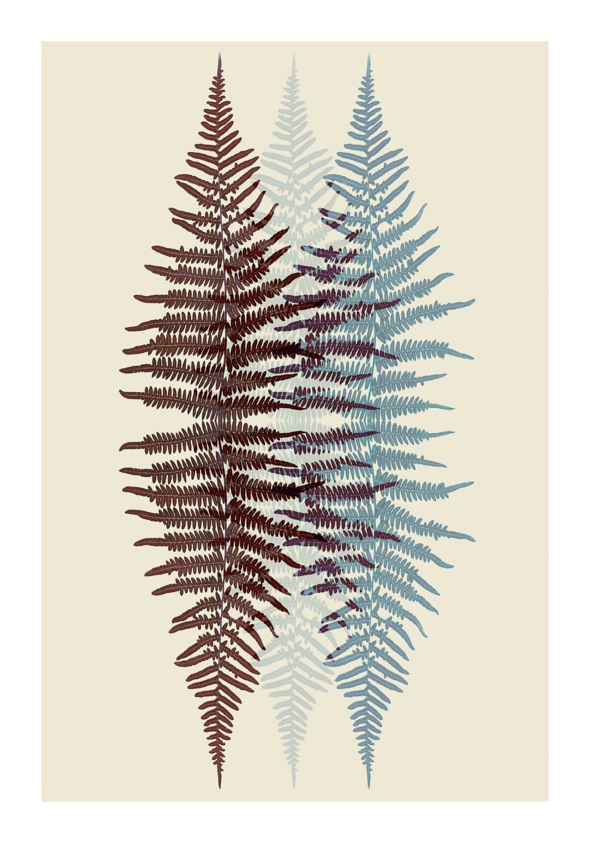 variant-70x100_with-margin