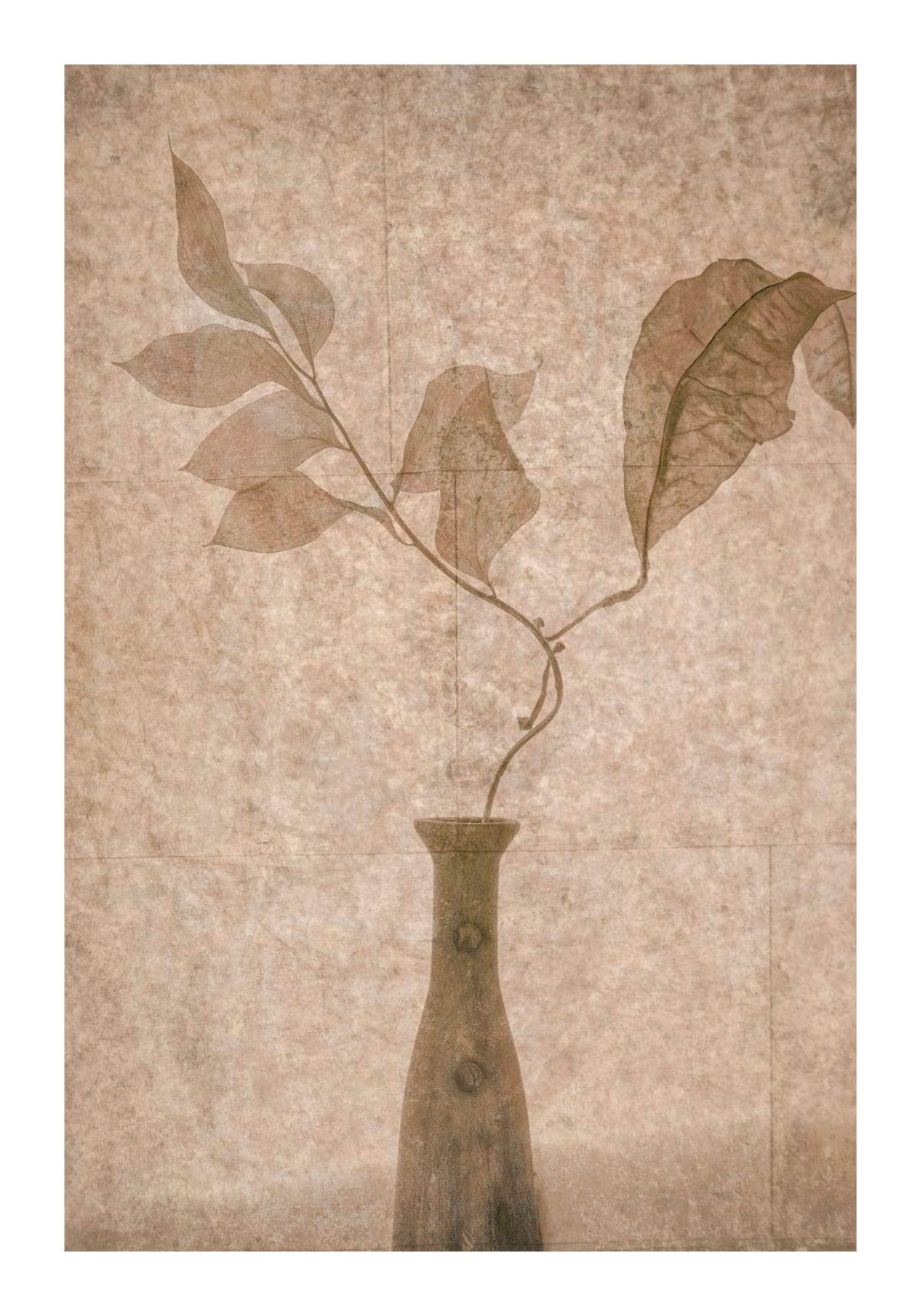 variant-70x100_with-margin
