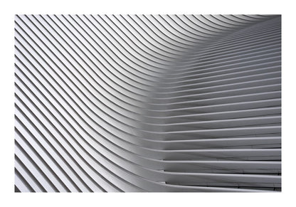 variant-70x100_with-margin