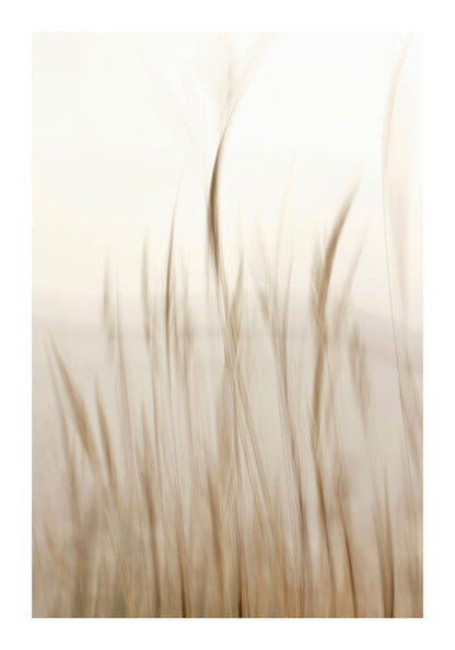 variant-70x100_with-margin