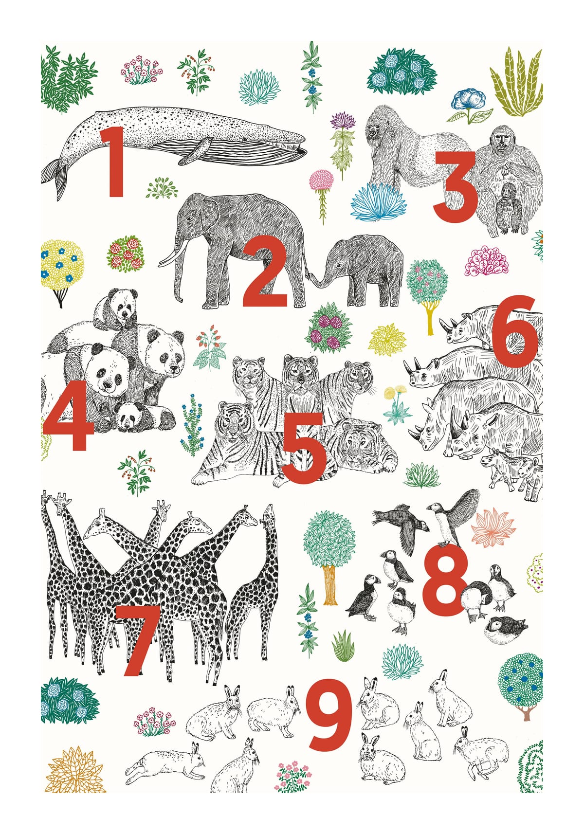 variant-70x100_with-margin