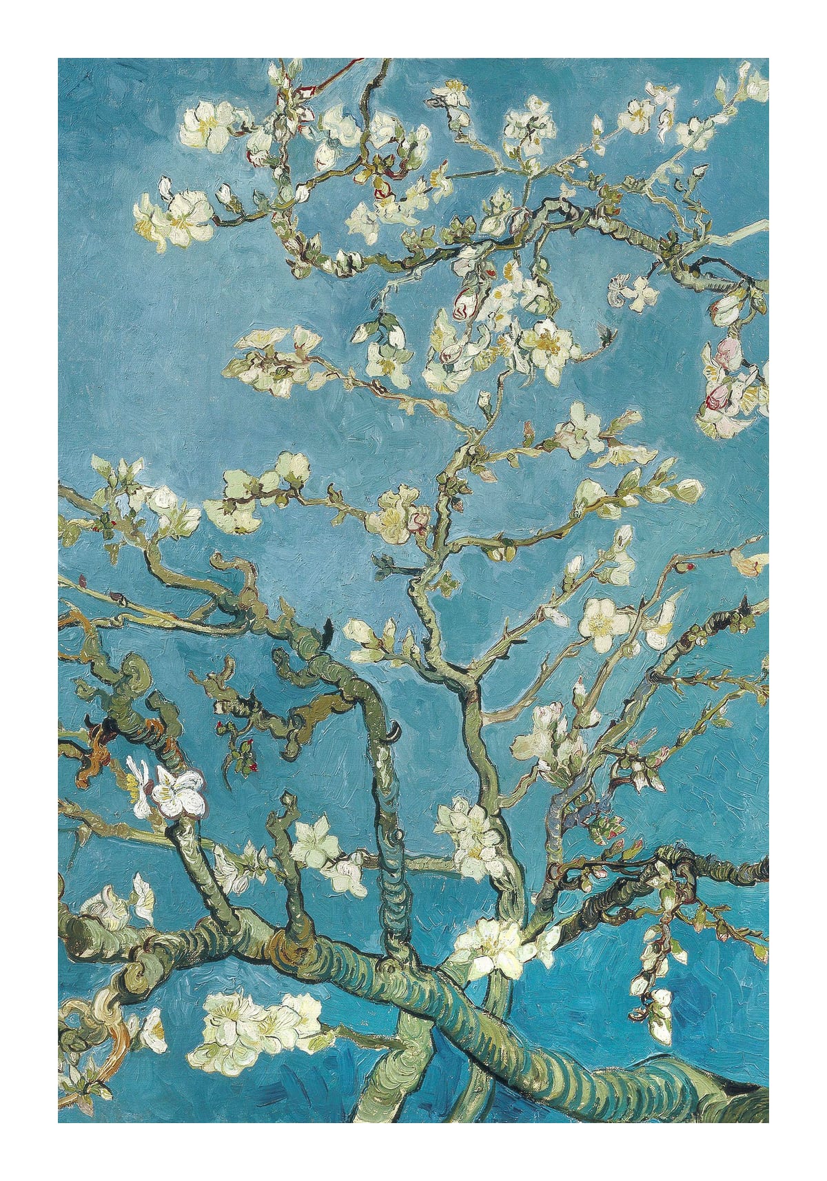variant-70x100_with-margin
