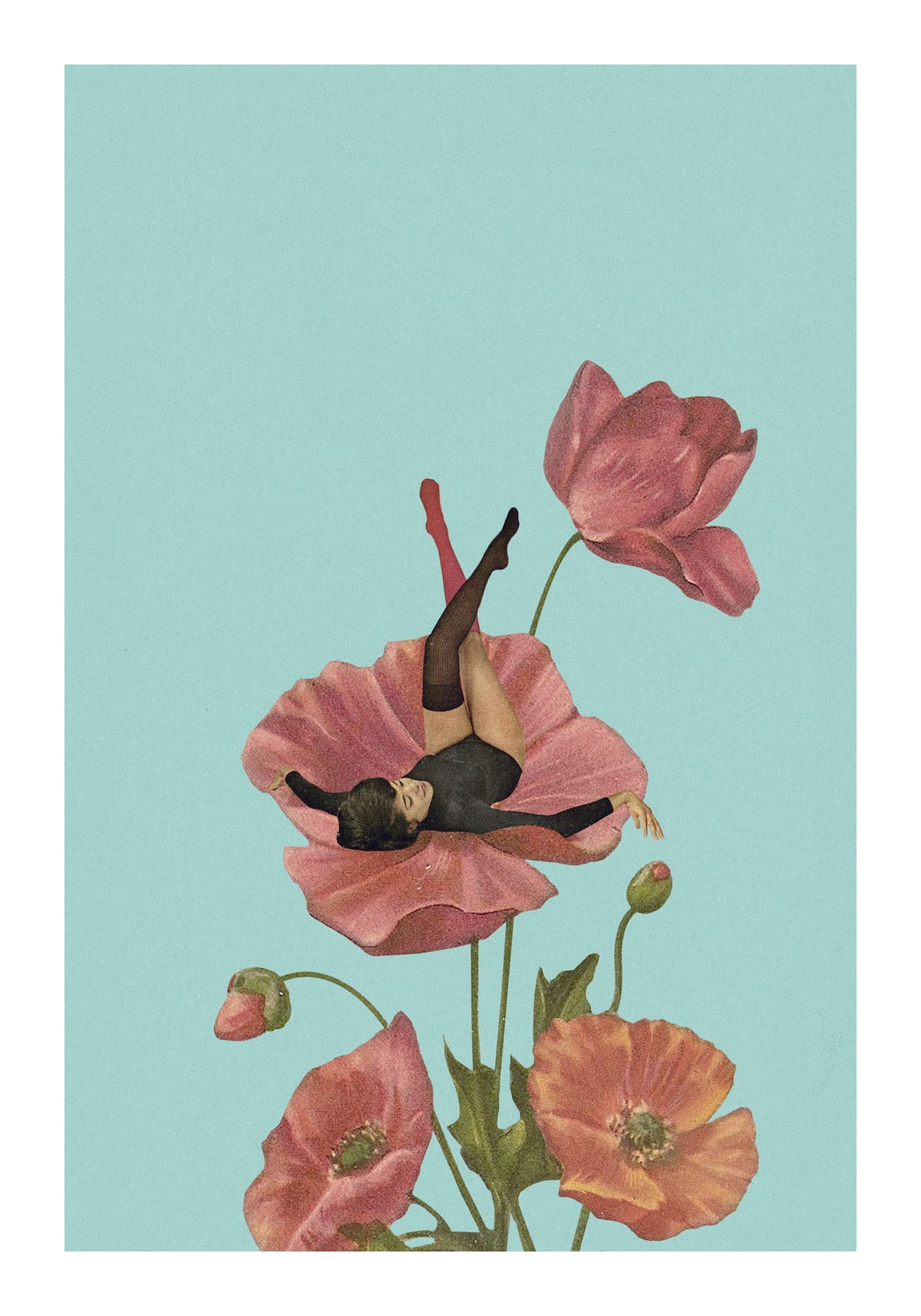 variant-70x100_with-margin