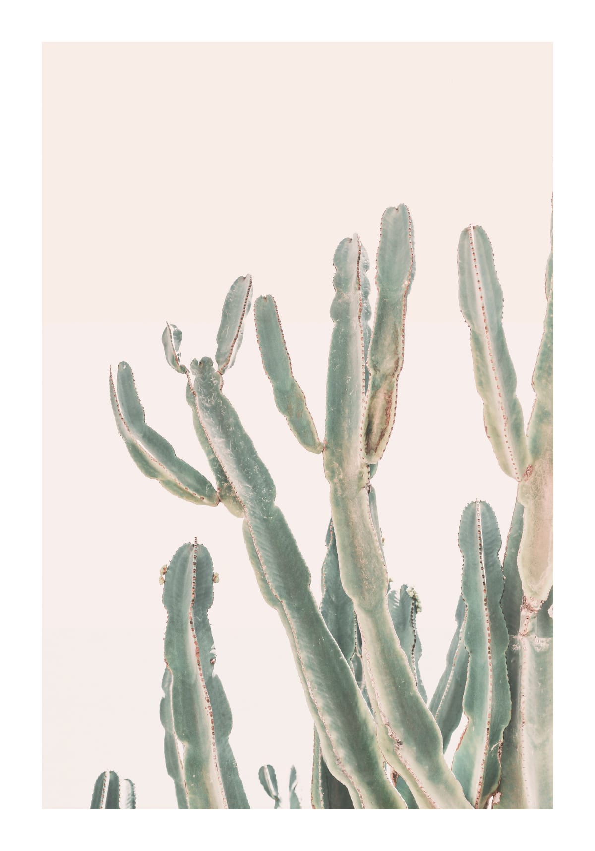 variant-70x100_with-margin