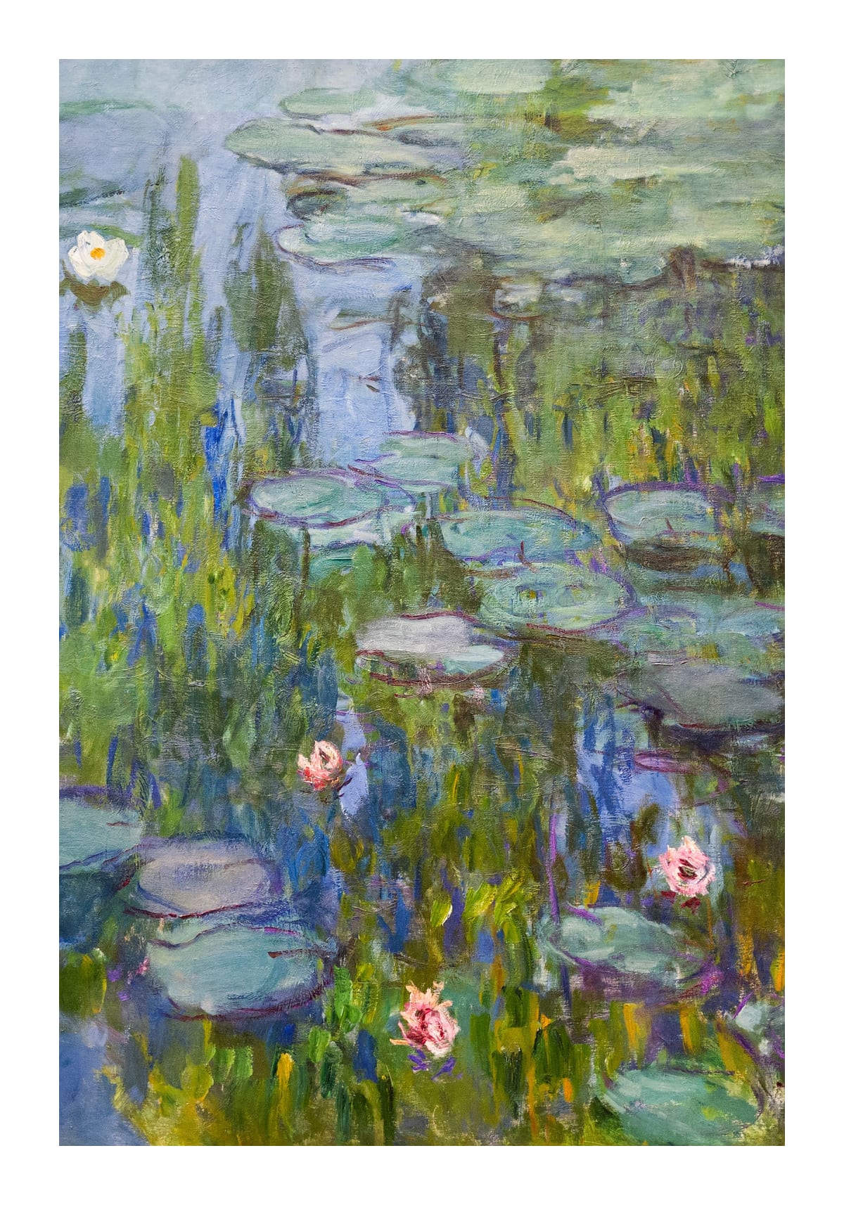 variant-70x100_with-margin