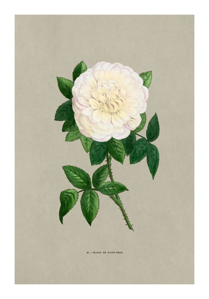 variant-70x100_with-margin