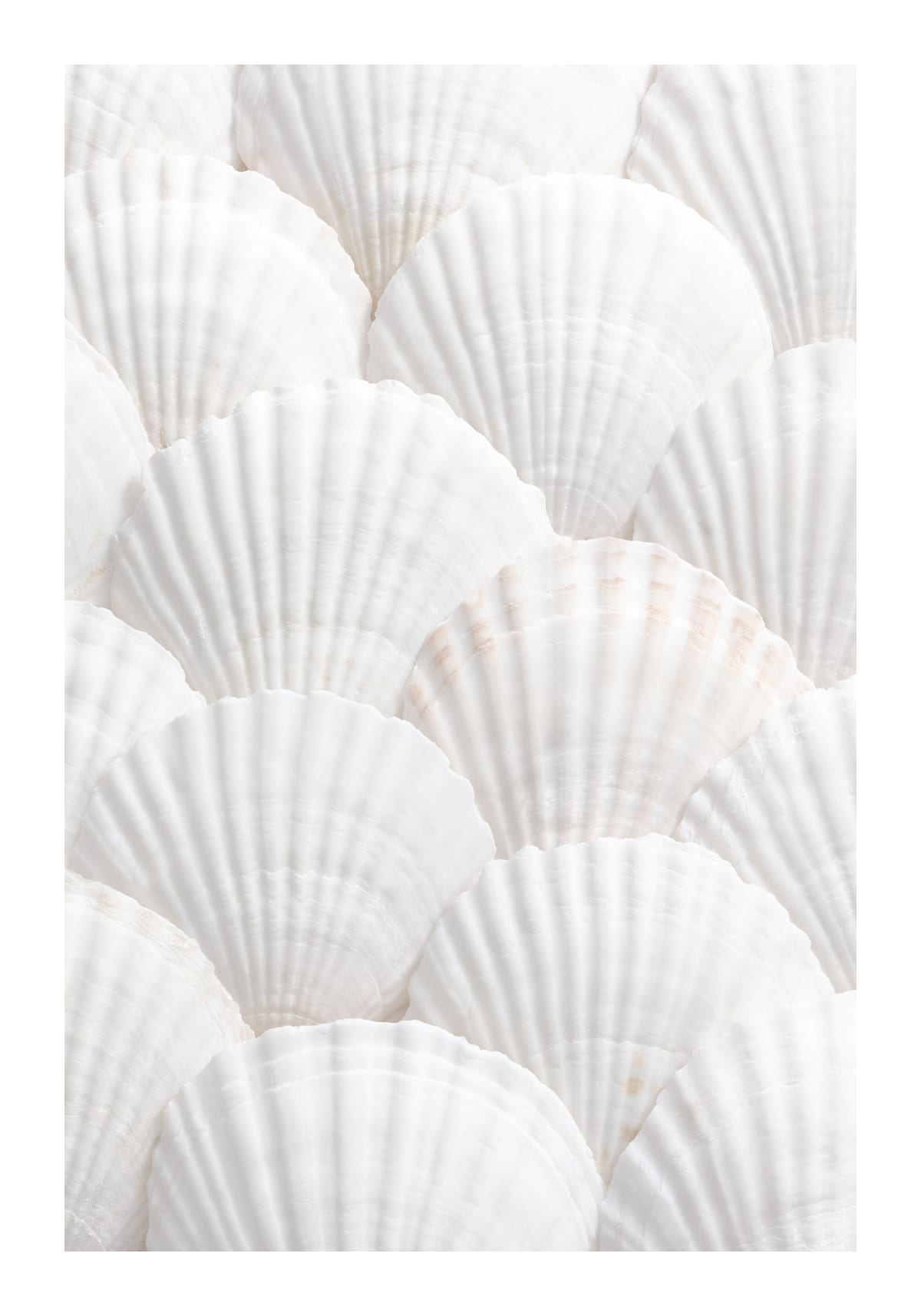 variant-70x100_with-margin