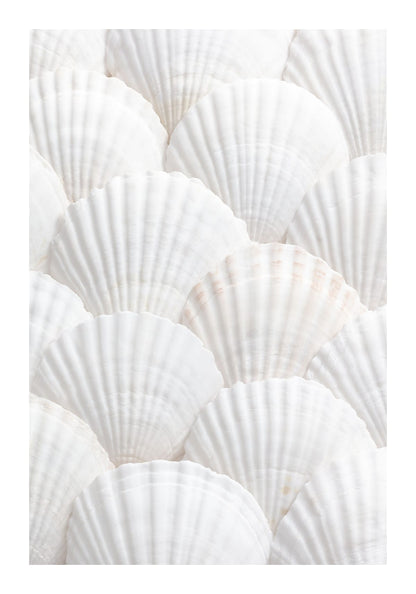 variant-70x100_with-margin