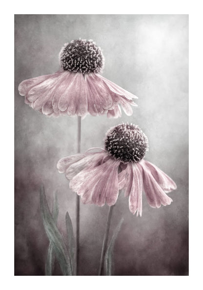 variant-70x100_with-margin
