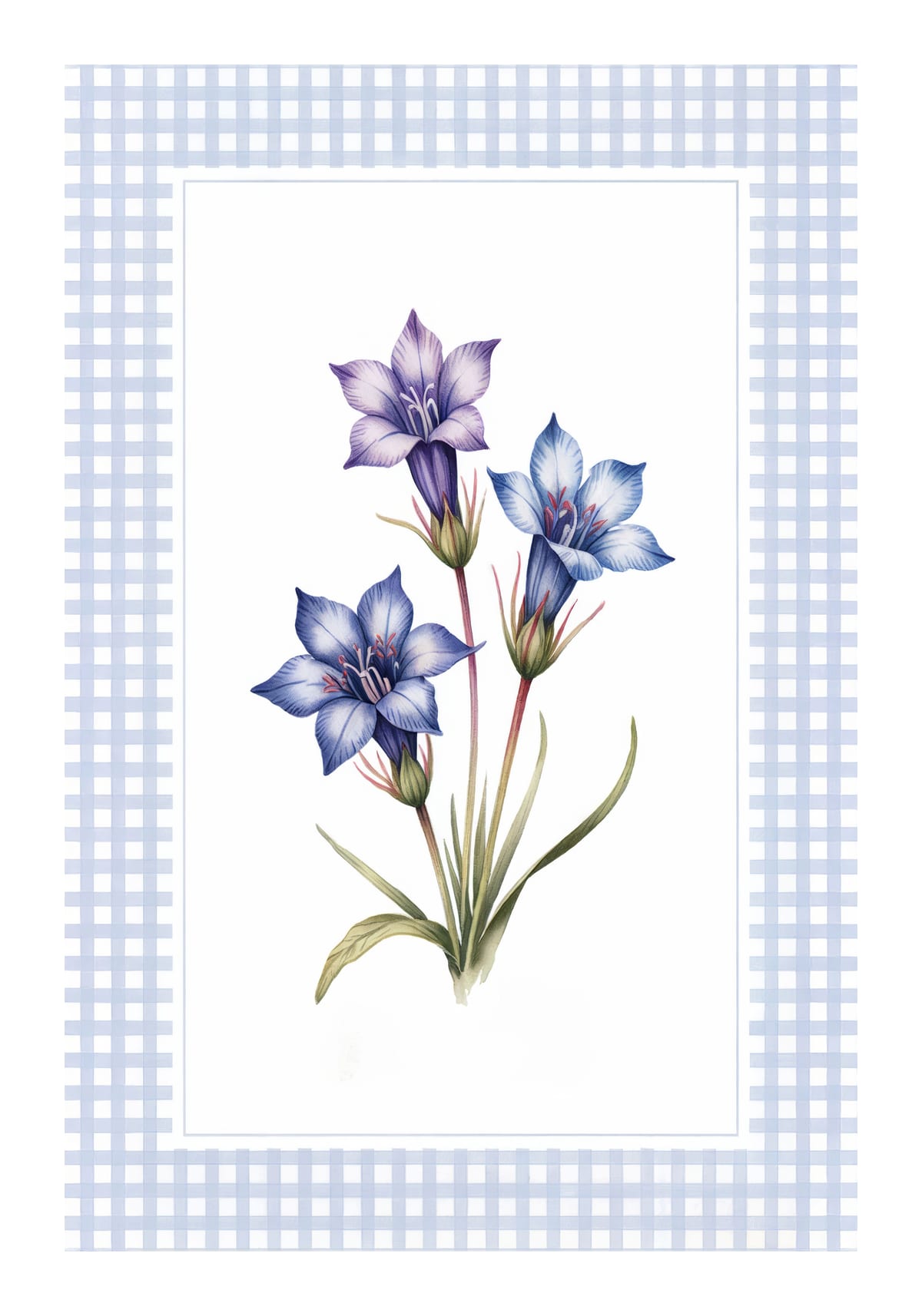 variant-70x100_with-margin
