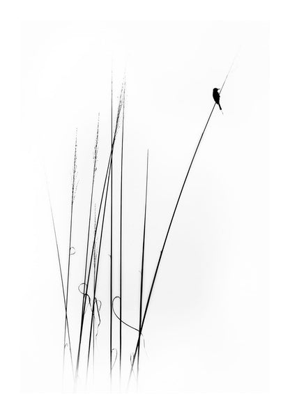 variant-70x100_with-margin