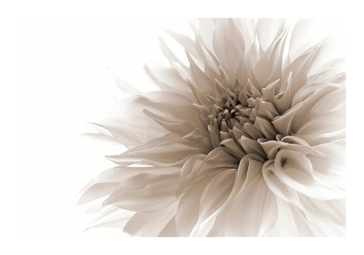 variant-70x100_with-margin