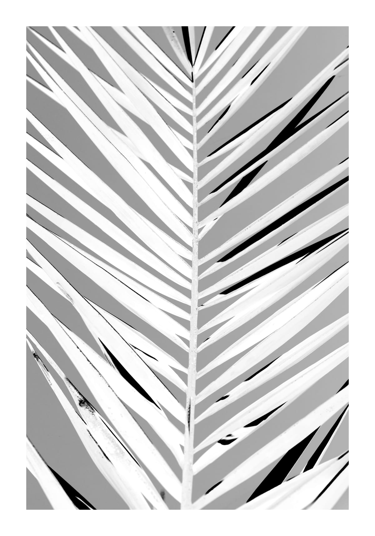 variant-70x100_with-margin