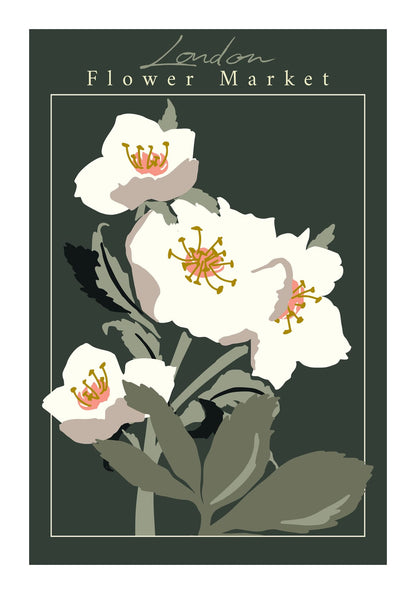 variant-70x100_with-margin