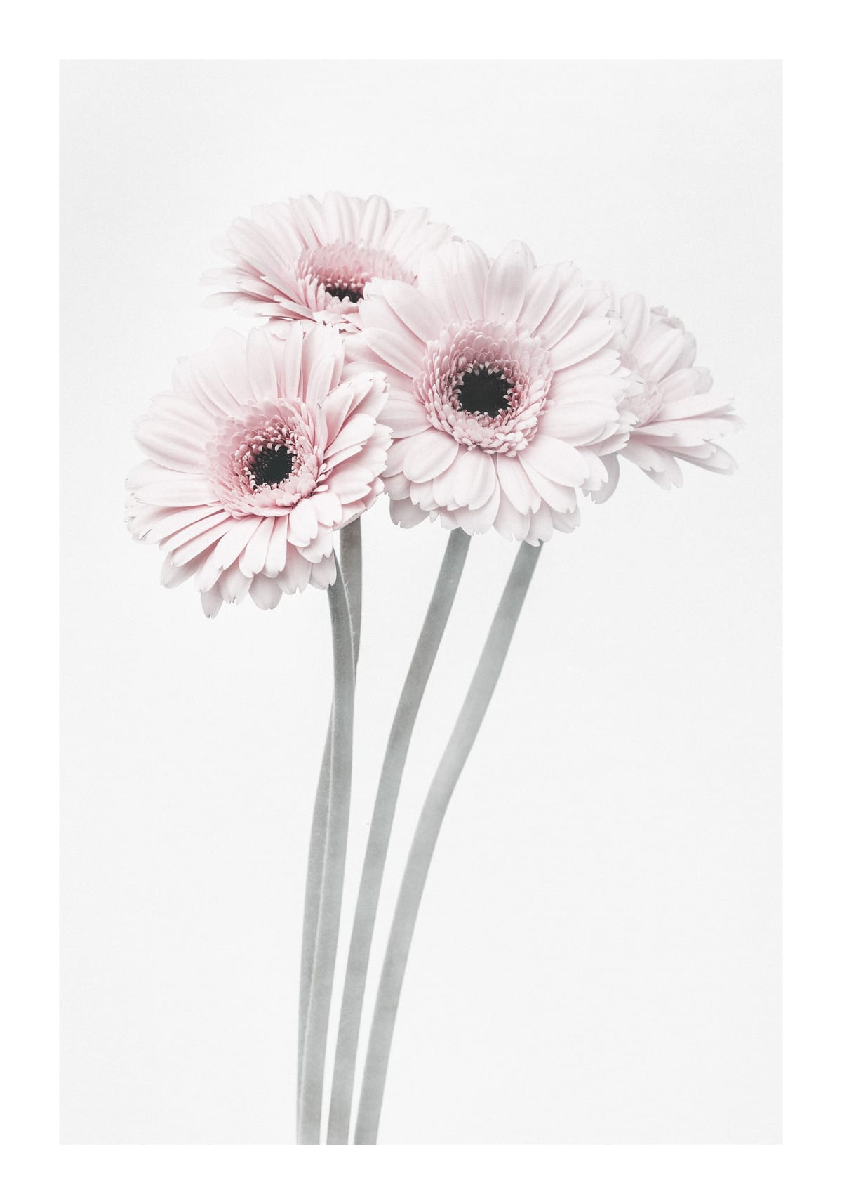 variant-70x100_with-margin